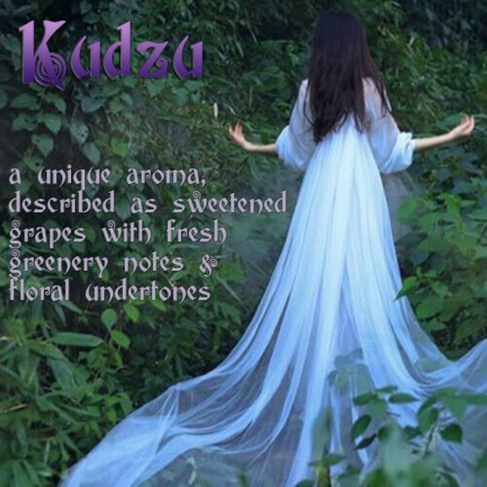 KUDZU Scented Fragrance Body Oil
